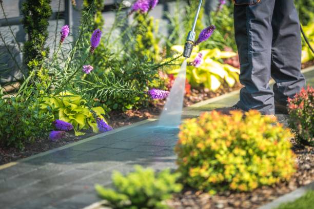 Best Driveway Pressure Washing  in Mountainside, NJ